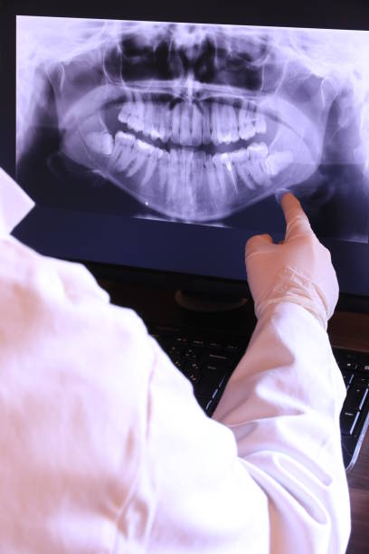 Best Emergency X-Rays and Diagnostics in Pecatonica, IL